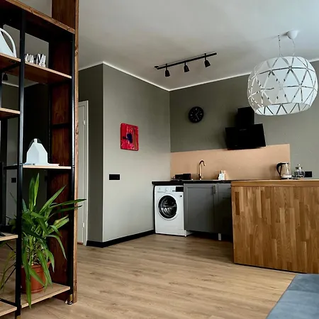 Grey Studio In Maardu Exterior photo