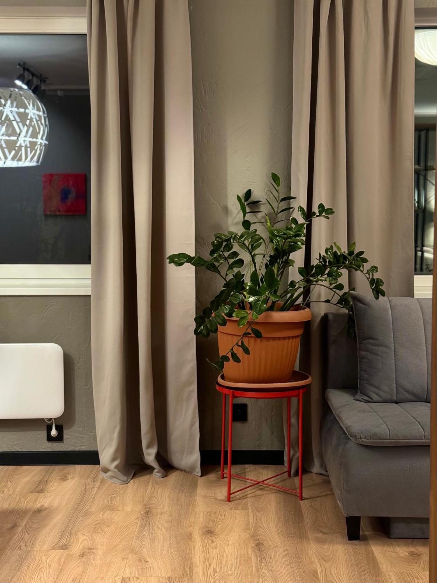 Apartment Grey In